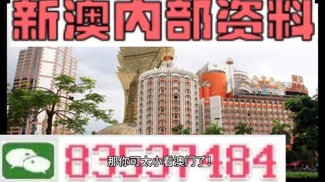 澳門精準正最精準龍門客棧，澳門精準預測，龍門客棧揭秘最精準信息