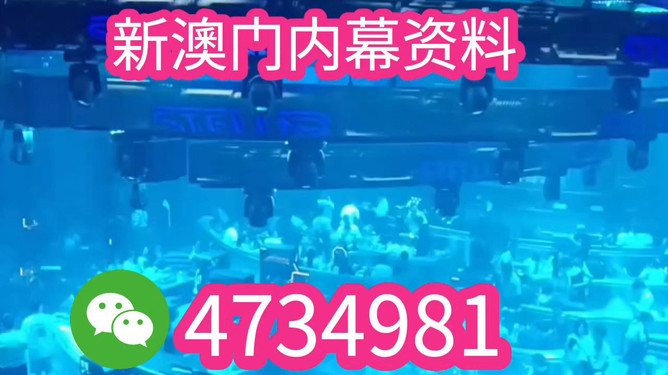 澳門特馬好網(wǎng)站2025，探索最佳網(wǎng)絡(luò)體驗，澳門特馬好網(wǎng)站2025，最佳網(wǎng)絡(luò)體驗探索之旅