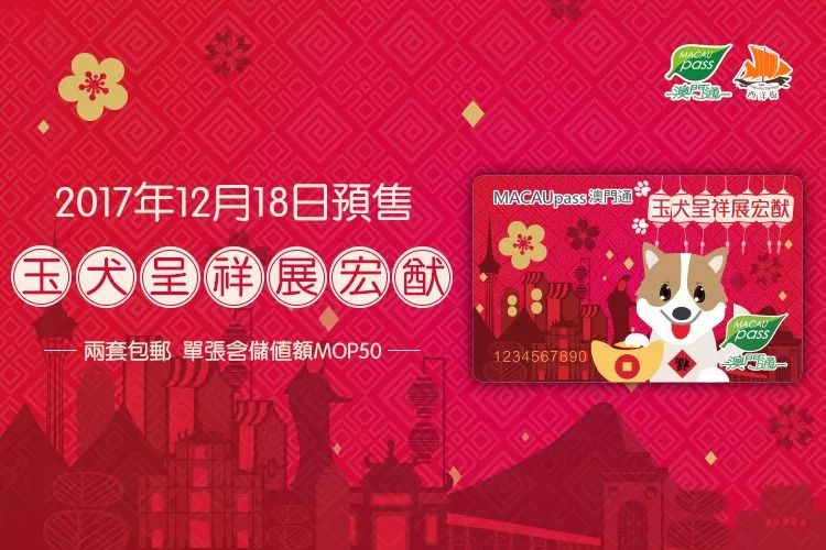 澳門正版資料大全資料生肖卡，澳門正版資料大全，生肖卡全收錄