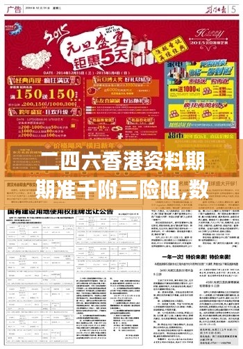 二四六期期正版資料，二四六期正版資料詳解