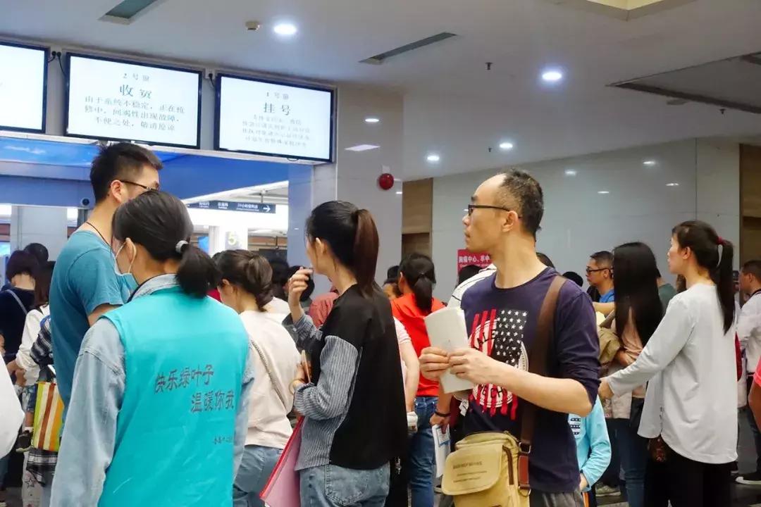 新門內(nèi)部資料大全免費查詢，新門內(nèi)部資料免費查詢指南