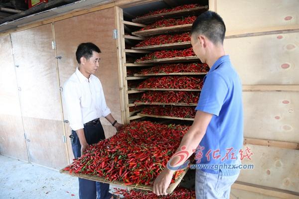王中王100%免費(fèi)資料大全，一網(wǎng)打盡各類資源，王中王免費(fèi)資料大全，一網(wǎng)打盡所有資源