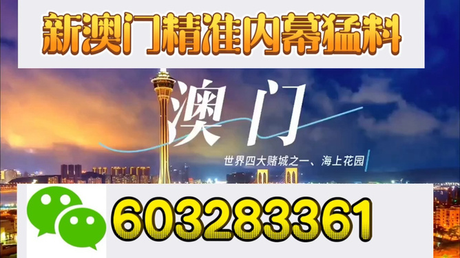 新澳門今期開獎結(jié)果全景解析，新澳門今期開獎結(jié)果全景解讀與分析
