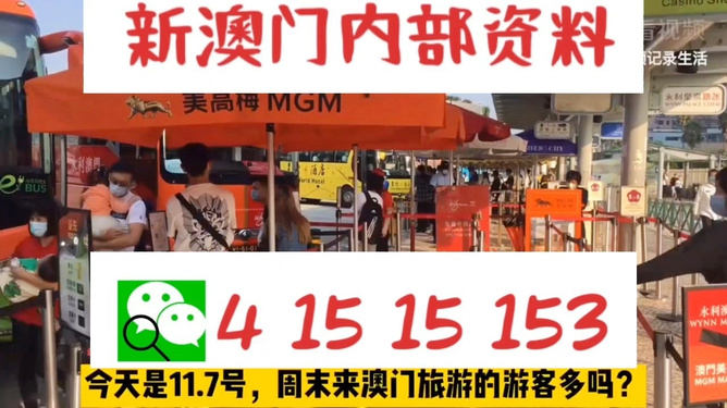免費(fèi)澳門內(nèi)部開一碼，揭秘與探索，澳門內(nèi)部一碼揭秘，免費(fèi)開啟探索之旅