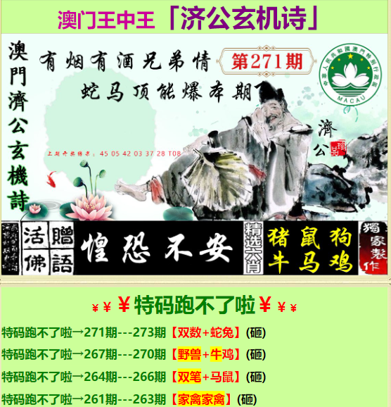 王中王72396一肖中特特色的深度解析，王中王72396一肖中特特色深度剖析